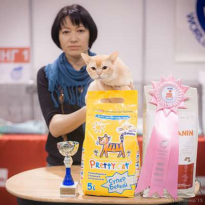 �������� ����� 31 ������ - 1 ������� 2015 WCF-����� 1-175-IMG_5514.jpg