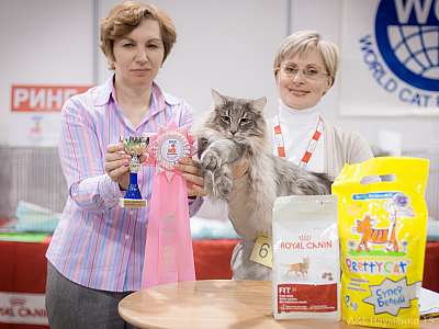 �������� ����� 31 ������ - 1 ������� 2015 WCF-�����  3-61-IMG_5521.jpg