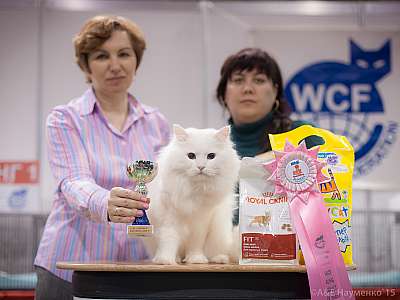 �������� ����� 31 ������ - 1 ������� 2015 WCF-�����  4-75-IMG_5536.jpg