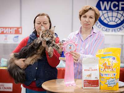 �������� ����� 31 ������ - 1 ������� 2015 WCF-�����  5-50-IMG_5520.jpg