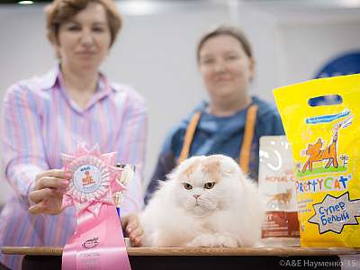 �������� ����� 31 ������ - 1 ������� 2015 WCF-�����  6-66-IMG_5534.jpg