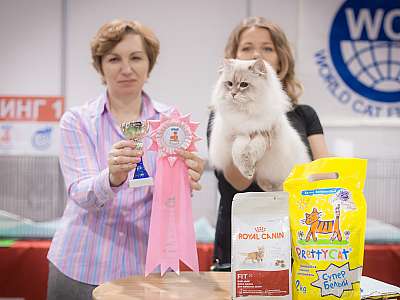 �������� ����� 31 ������ - 1 ������� 2015 WCF-�����  7-159-IMG_5529.jpg