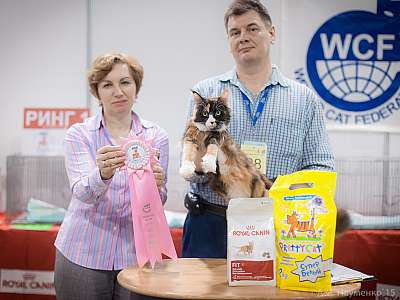 �������� ����� 31 ������ - 1 ������� 2015 WCF-�����  8-28-IMG_5525.jpg