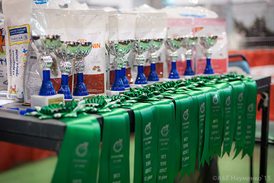 �������� ����� 31 ������ - 1 ������� 2015 WCF-����� 169A7929 copy.jpg