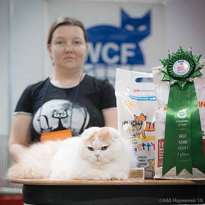 �������� ����� 31 ������ - 1 ������� 2015 WCF-�����  1-66-IMG_7414.jpg