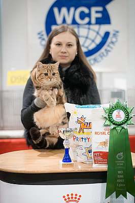 �������� ����� 31 ������ - 1 ������� 2015 WCF-�����  10-96-IMG_7434.jpg