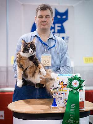 �������� ����� 31 ������ - 1 ������� 2015 WCF-�����  2-28-IMG_7416.jpg