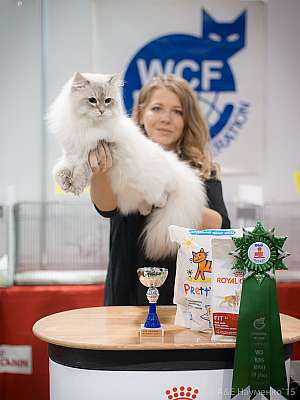 �������� ����� 31 ������ - 1 ������� 2015 WCF-�����  3-159-IMG_7418.jpg