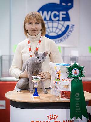 �������� ����� 31 ������ - 1 ������� 2015 WCF-�����  4-122-IMG_7420.jpg