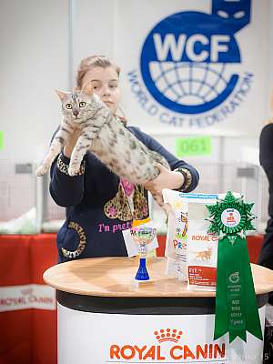 �������� ����� 31 ������ - 1 ������� 2015 WCF-�����  5-122-IMG_7422.jpg