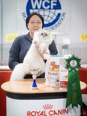 �������� ����� 31 ������ - 1 ������� 2015 WCF-�����  6-69-IMG_7425.jpg