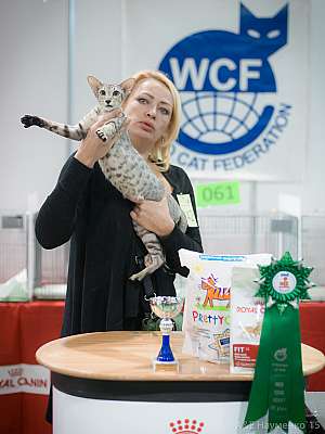 �������� ����� 31 ������ - 1 ������� 2015 WCF-�����  7-142-IMG_7426.jpg