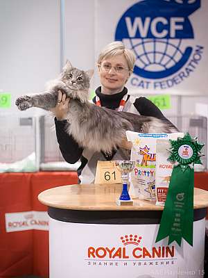 �������� ����� 31 ������ - 1 ������� 2015 WCF-�����  8-61-IMG_7429.jpg