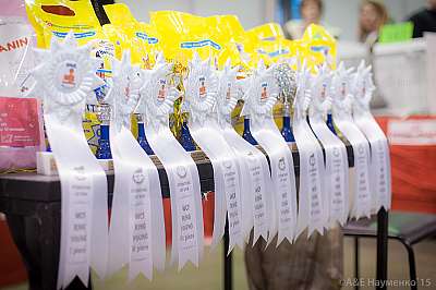 �������� ����� 31 ������ - 1 ������� 2015 WCF-����� 0-IMG_5767_900.jpg