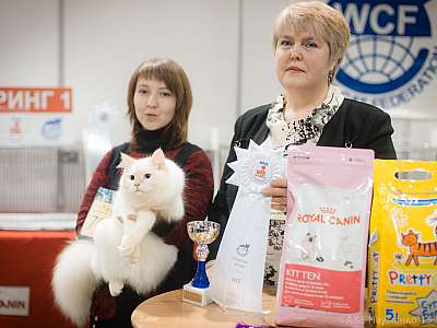 �������� ����� 31 ������ - 1 ������� 2015 WCF-����� 1-70-IMG_5875.jpg