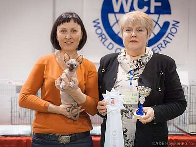 �������� ����� 31 ������ - 1 ������� 2015 WCF-����� 10-163-IMG_5871.jpg