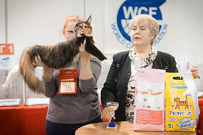 �������� ����� 31 ������ - 1 ������� 2015 WCF-����� 2-26-IMG_5872.jpg