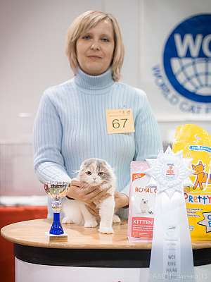 �������� ����� 31 ������ - 1 ������� 2015 WCF-����� 3-67-IMG_5877.jpg