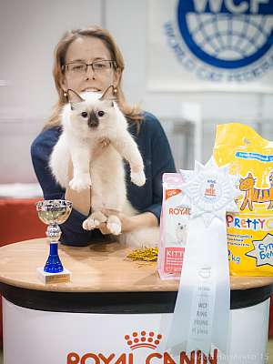 �������� ����� 31 ������ - 1 ������� 2015 WCF-����� 6-64-IMG_5883.jpg