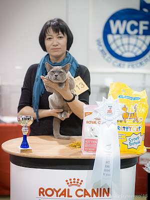 �������� ����� 31 ������ - 1 ������� 2015 WCF-����� 7-113-IMG_5886.jpg