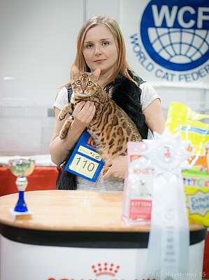 �������� ����� 31 ������ - 1 ������� 2015 WCF-����� 8-110-IMG_5895.jpg