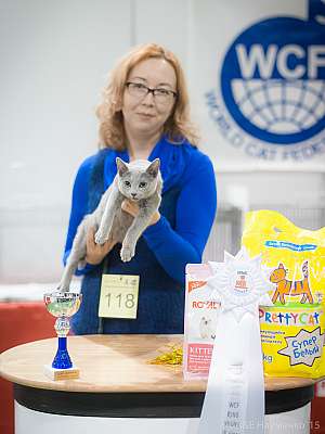 �������� ����� 31 ������ - 1 ������� 2015 WCF-����� 9-118-IMG_5888.jpg