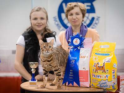 �������� ����� 31 ������ - 1 ������� 2015 WCF-����� 1-110-IMG_7682.jpg