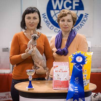 �������� ����� 31 ������ - 1 ������� 2015 WCF-����� 10-163-IMG_7709.jpg