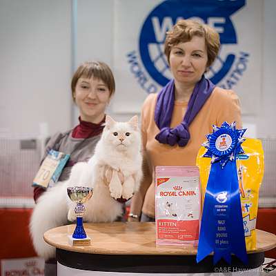 �������� ����� 31 ������ - 1 ������� 2015 WCF-����� 3-70-IMG_7687.jpg