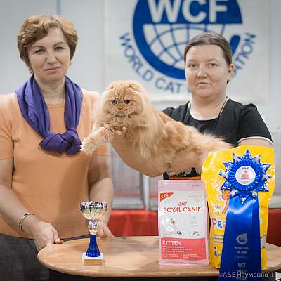 �������� ����� 31 ������ - 1 ������� 2015 WCF-����� 4-65-IMG_7693.jpg