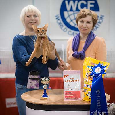 �������� ����� 31 ������ - 1 ������� 2015 WCF-����� 5-101-IMG_7695.jpg