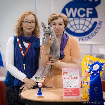 �������� ����� 31 ������ - 1 ������� 2015 WCF-����� 6-161-IMG_7696.jpg