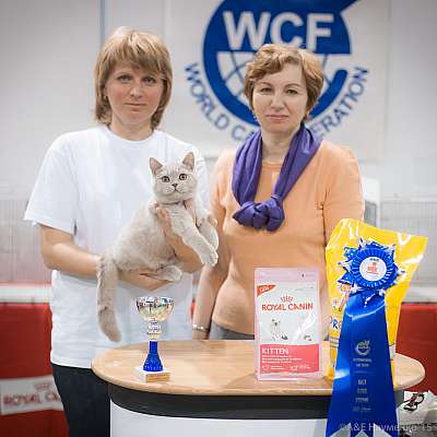 �������� ����� 31 ������ - 1 ������� 2015 WCF-����� 8-169-IMG_7702.jpg