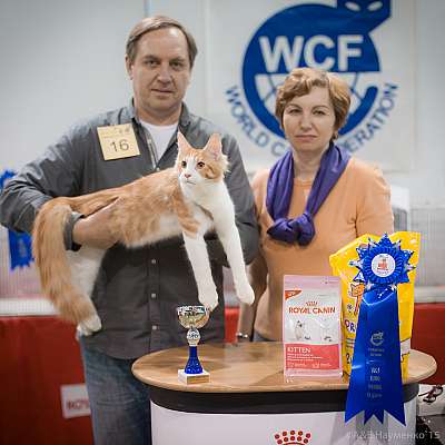 �������� ����� 31 ������ - 1 ������� 2015 WCF-����� 9-16-IMG_7705.jpg