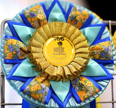 �������� ����� '���-�����-������' 11-12 ������ 2015 169A3723.jpg