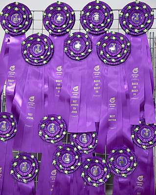 �������� ����� '���-�����-������' 29-30 ������� 2015  169A5455.jpg