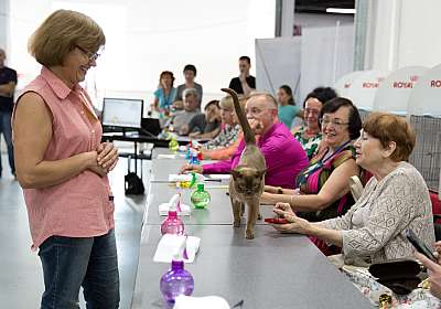 �������� ����� '���-�����-������' 29-30 ������� 2015  169A7068.jpg