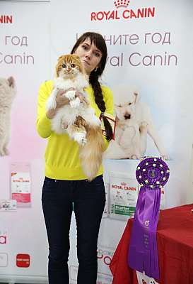 �������� ����� '���-�����-������' 29-30 ������� 2015  3_42_169A7126.jpg