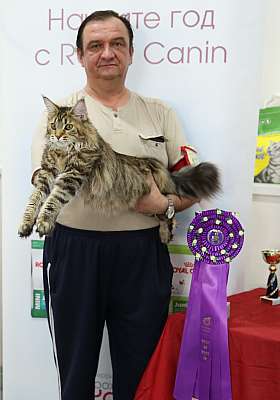 �������� ����� '���-�����-������' 29-30 ������� 2015  4_17_169A7122.jpg