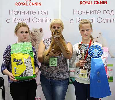 �������� ����� '���-�����-������' 29-30 ������� 2015 11_55_169A8771.jpg