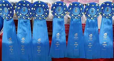 �������� ����� '���-�����-������' 29-30 ������� 2015 169A8750.jpg