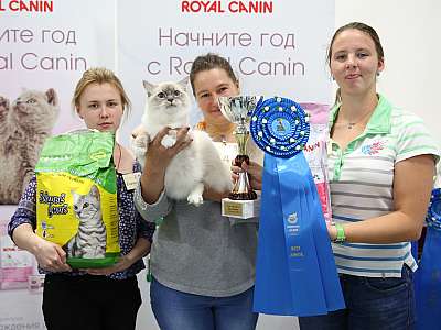 �������� ����� '���-�����-������' 29-30 ������� 2015 9_142_169A8792.jpg