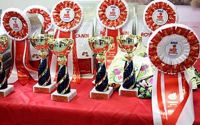 �������� ����� 29-30 ������� 2015, ������������ ���  169A5553.jpg