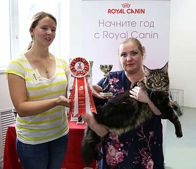 �������� ����� 29-30 ������� 2015, ������������ ���  169A5574.jpg