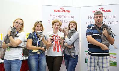 �������� ����� 29-30 ������� 2015, ������������ ���  169A7520.jpg