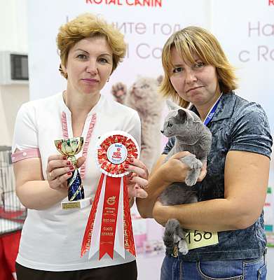 �������� ����� 29-30 ������� 2015, ������������ ���  169A7533.jpg