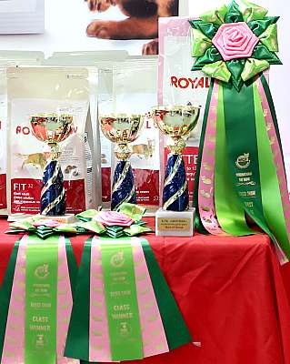 �������� ����� 29-30 ������� 2015, ������������ ���  169A7579.jpg