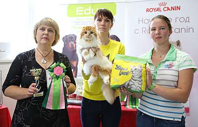 �������� ����� 29-30 ������� 2015, ������������ ���  169A7684.jpg