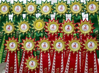 �������� ����� 29-30 ������� 2015 WCF-�����  169A5453.jpg