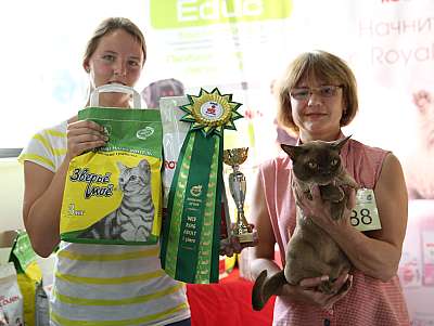 �������� ����� 29-30 ������� 2015 WCF-�����  1_88_169A6841.jpg